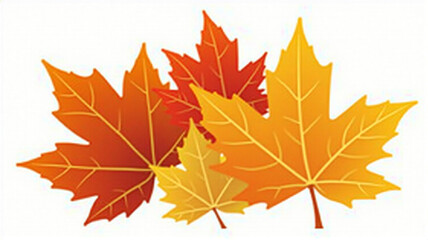 Fototapeta premium autumn leaves