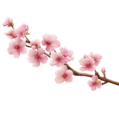 Obraz premium Beautiful pink cherry blossom branch with Sakura flower vector illustration on transparent background, PNG cutout photo