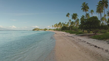 Palm trees along shoreline white sand beach and turquoise waters of the pacific ocean, a tropical paradise island under blue sunny sky. Remote wild nature, exotic summer travel. Aerial drone shot