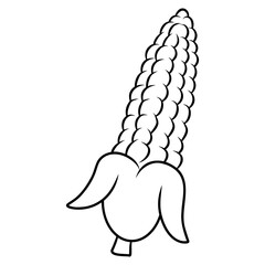 illustration of a corncob