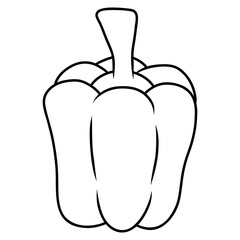 illustration of a bell pepper vegetable
