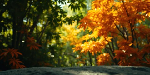 Serene autumnal foliage backdrop with a neutral foreground surface ideal for product display or graphic design elements