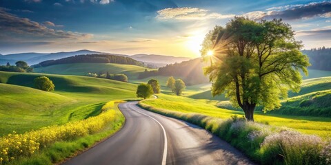 Scenic Summer Road Winding Through Rolling Green Hills at Sunset