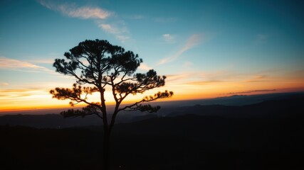Silhouette of a lone tree on a hilltop at sunset, overlooking a vast, tranquil landscape