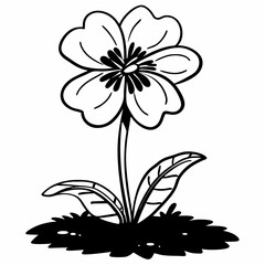 black and white flower