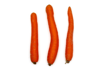 Counting Exercise with Three Fresh Carrots Isolated on a White Background