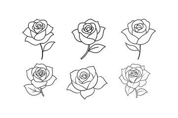 rose flower line art vector illustration