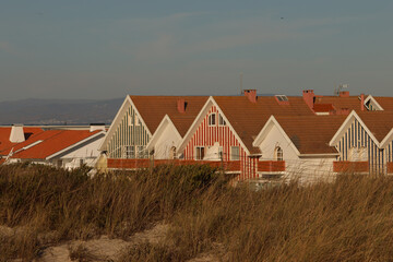 Obraz premium houses in the village