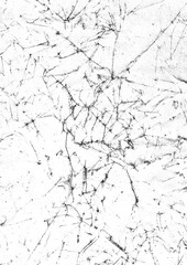 Large vintage paper texture with transparent background