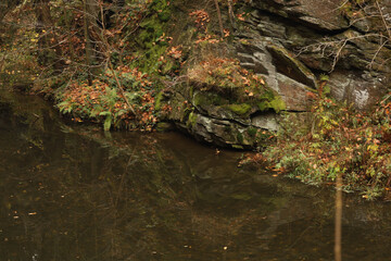 Fluss Zschopau in Wolkenstein im Erzgebirge, Erzgebirgskreis, Sachsen, Deutschland	