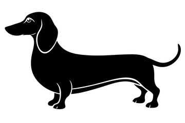 Dachshund Silhouette Vector Illustration of a Long, Low Dog with Short Legs