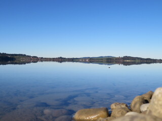 Forggensee
