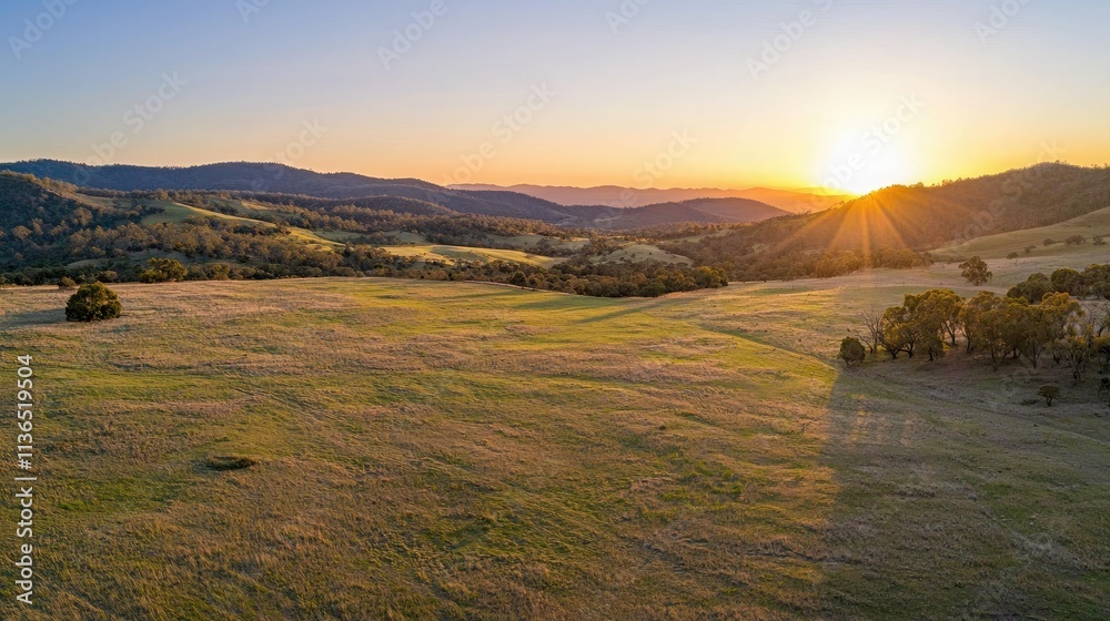Poster wide open grassy field with gentle hills and distant trees at sunset