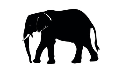 Elephant Silhouette vector illustration set isolated on white background-Elephant Silhouette Silhouette, Files for Cutting Cricut and Silhouette, Isolated on white background, Calligraphy t shirt desi