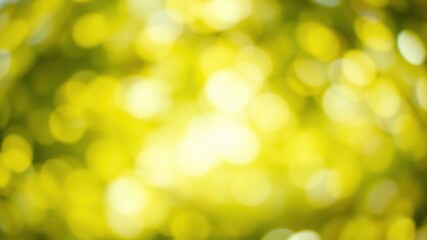 Obraz premium Abstract Sunny Yellow Green Bokeh Background Ideal for Spring or Summer Designs