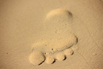 Human footprints in a warm coastal area