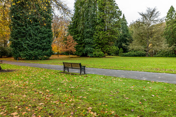 Public Park view in autumn