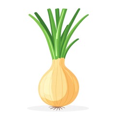 Fresh onion with green tops, white isolated background.