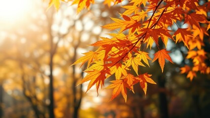 Golden autumn leaves on a branch, bathed in sunlight, with a blurred background of trees