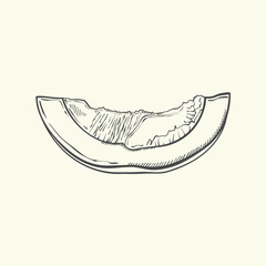  Piece of pumpkin on white background . Hand drawn vintage style . Vector illustration .
