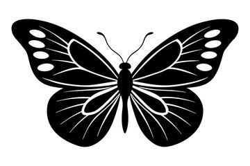 a butterfly silhouette vector illustration