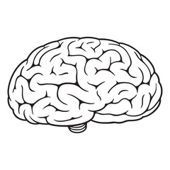Brain coloring page vector illustration line art design