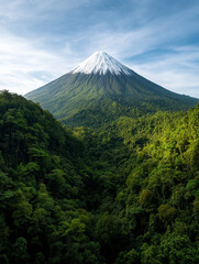 Fototapeta premium Snow-capped mountain rising above lush green valley