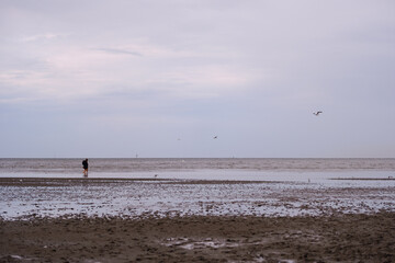 Menschen bei Ebbe im Wattenmeer in Nordeutschland