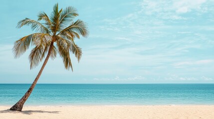 Fototapeta premium Leaning Palm Tree Against a Tropical Sky