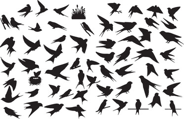 Vector Barn Swallow Silhouette Collection
