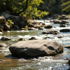 Fototapeta premium A smooth, flat rock surrounded by flowing water—ideal for nature and adventure-themed product displays.