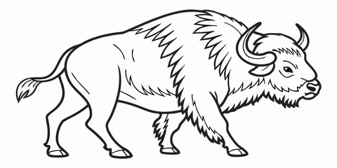 Obraz premium Vestor Buffalo Line Art, isolated white background