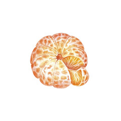 Peeled mandarin watercolor. Set of mandarin fruit design elements. Ripe orange watercolor. Orange fruit vitamin. Food illustration . juice citrus menu