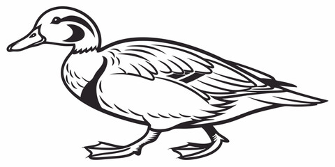 Obraz premium Vector Duck Line Art, isolated white background