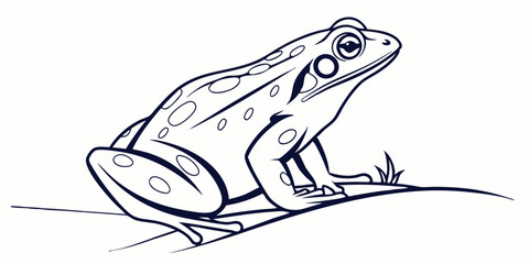 Naklejka premium Vector Frog Line Art, isolated white background