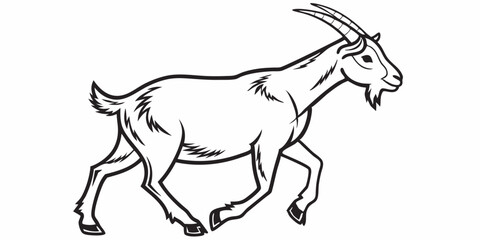 Vector Goat Line Art, isolated white background