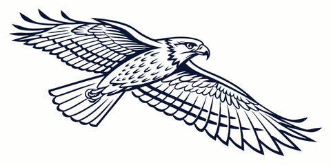 Obraz premium Vector Hawk Line Art, isolated white background