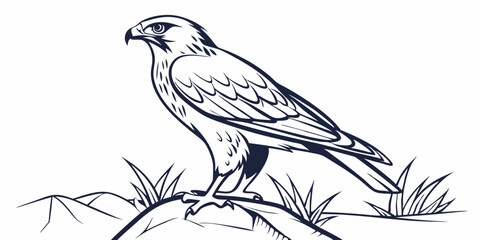 Fototapeta premium Vector Hawk Line Art, isolated white background