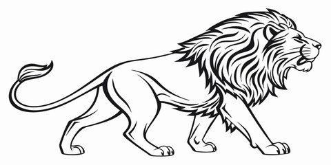 Vector Lion Line Art, isolated white background