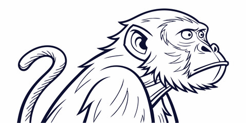 Vector Monkey Line Art, isolated white background