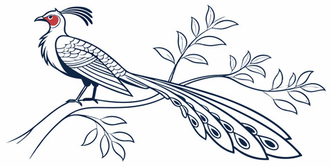 Fototapeta premium Vector Paradise Bird Line Art, isolated white background