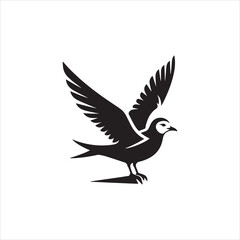 dove of peace