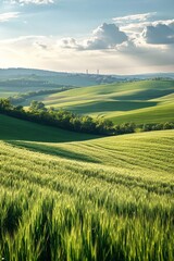 Naklejka premium Scenic view of a green wheat field covering rolling hills at sunset under a cloudy sky, vertical