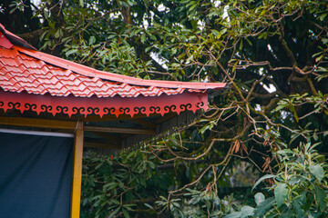 chinese temple roof