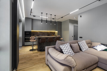 Trendy renovation of kitchen and living room interior with gray wall, sofa, kitchen island.