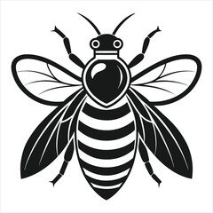 Fototapeta premium Digital vector art