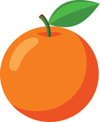 orange fruit vector illustration
