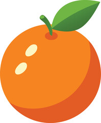 orange fruit vector illustration