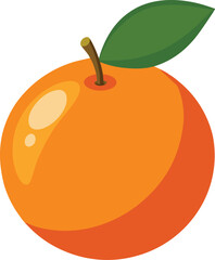 orange fruit vector illustration