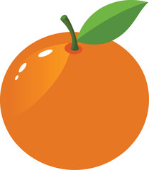 orange fruit vector illustration